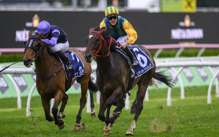 足更加显眼 足更加显眼