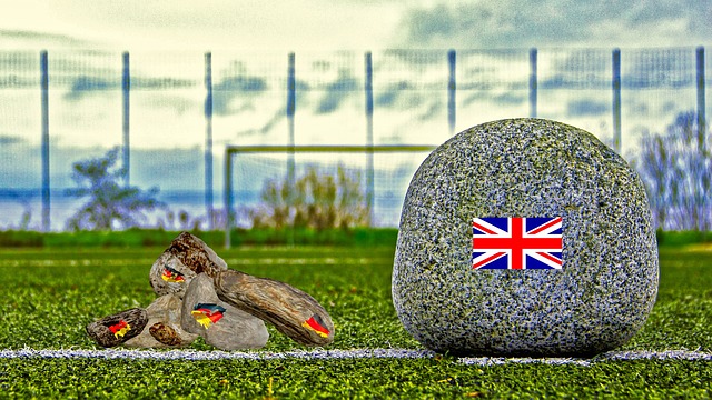 自己的表现 自己的表现