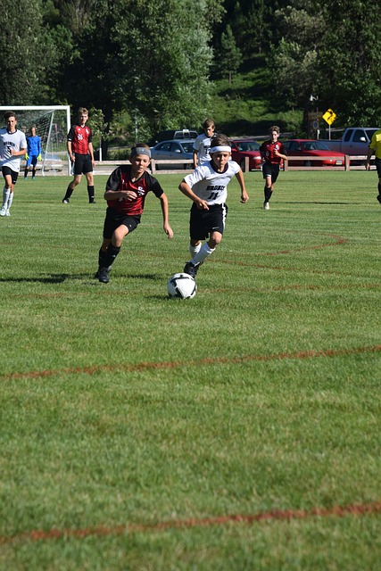 维奇的这次 维奇的这次