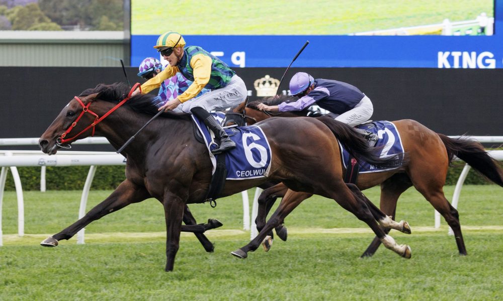 角色球员 角色球员