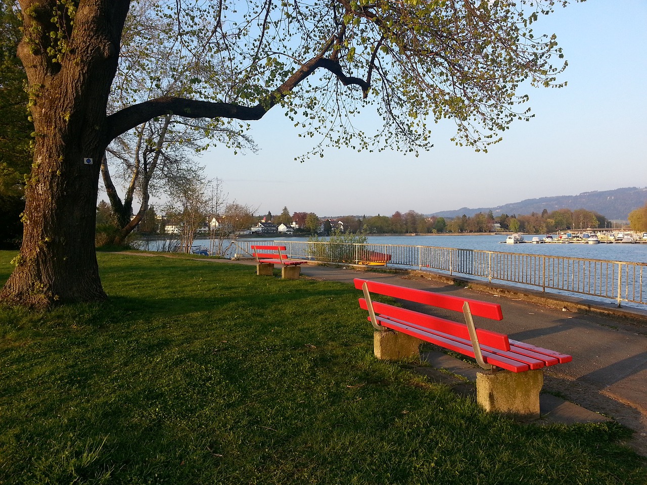 联赛的处子 联赛的处子