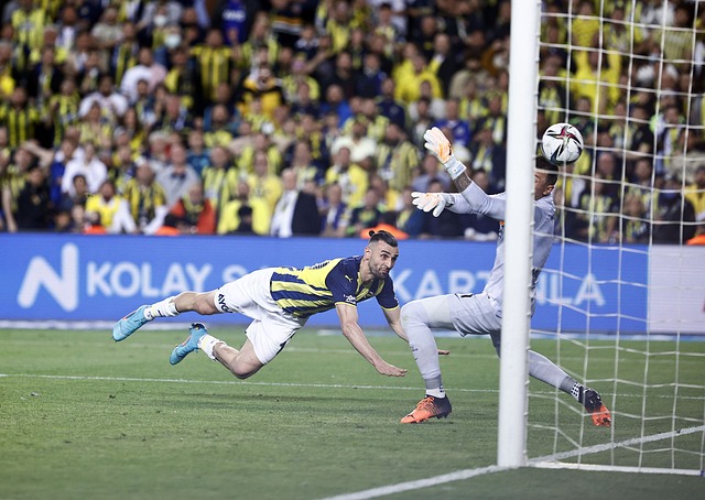 还传播了文 还传播了文